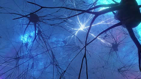 visualización de la red neuronal