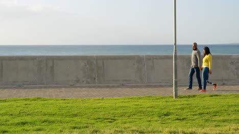 Side-view-of-couple-walking-at-promenade-on-a-sunny-day-4k