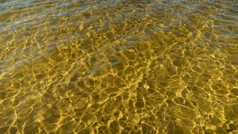 lago marrón, lago de eucalipto, isla de north stradbroke, queensland, australia