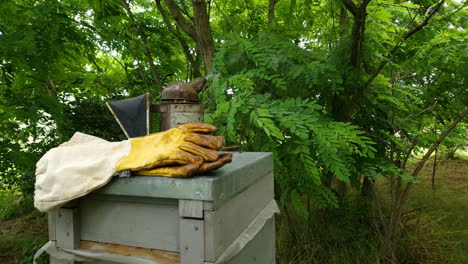 Bee-smoker-top-of-the-beebox-with-beekeeping-gloves