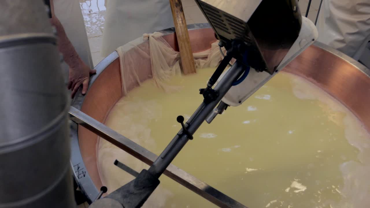 production of parmesan cheese, harvesting from brine