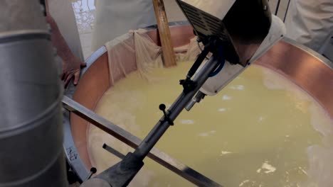 producción de queso parmesano, cosecha a partir de salmuera