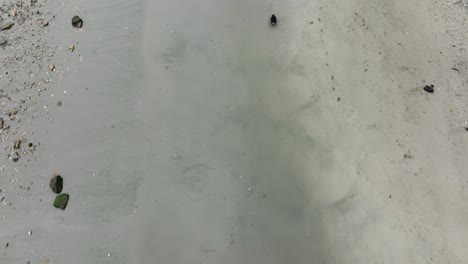 Overhead-view-of-a-god-chasing-a-drone-on-the-beach