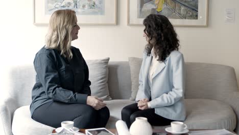 Smiling-businesswomen-shaking-hands-at-meeting.