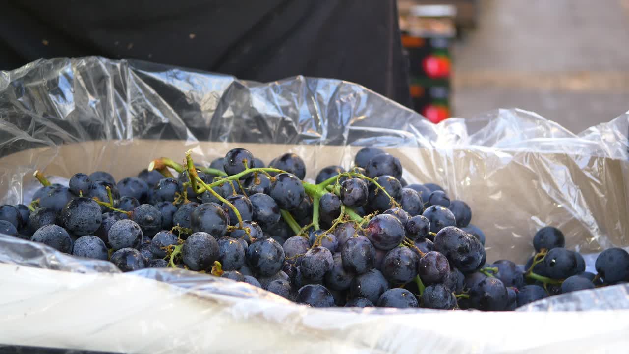 Person holding fresh grapes in plastic wrap