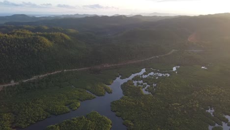 agua serpenteando a través de colinas tropicales exuberantes de palmeras de coco y pantanos de manglares en la isla de siargao