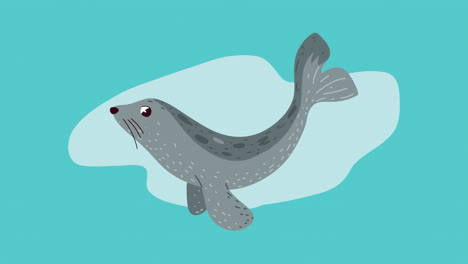 ecology animation with seal swiming