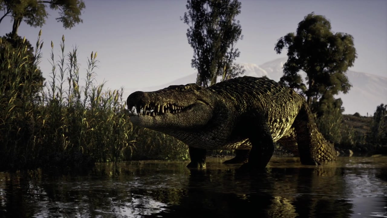Crocodilo enorme espreitando por pântanos sob o céu do entardecer