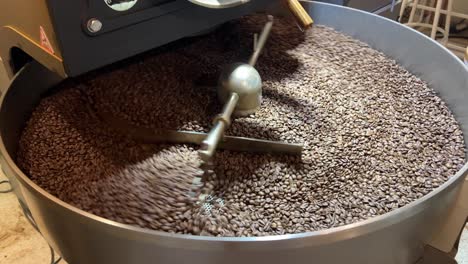 fresh specialty coffee beans spinning on cooling and mixing tray in regular speed to reduce the heat evenly after roasting, production warehouse factory shot of food and beverage industry