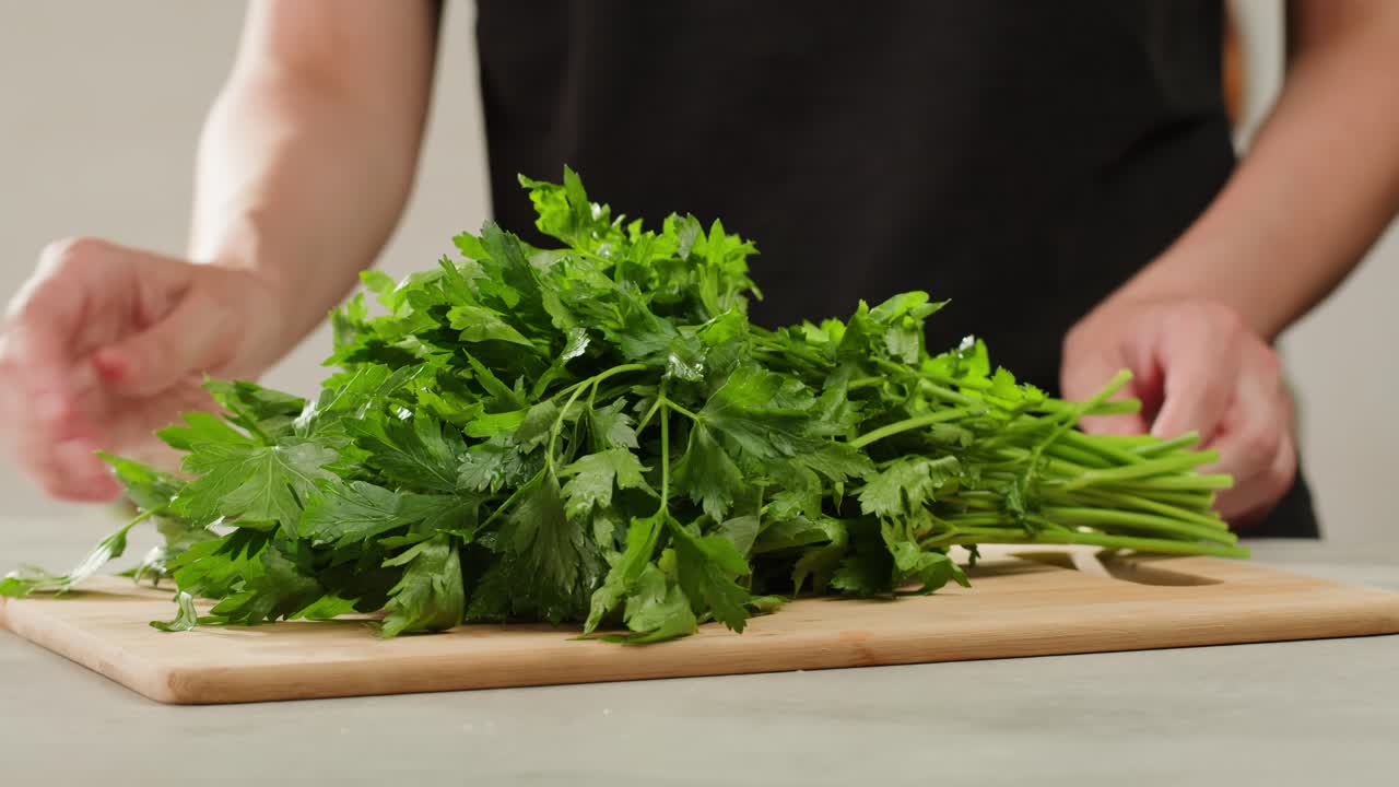 Cilantro parsley cutting by knife close up, chef chop cut coriander aromatic, traditional asian and Mexican cuisine herb studio shot. High quality 4k footage