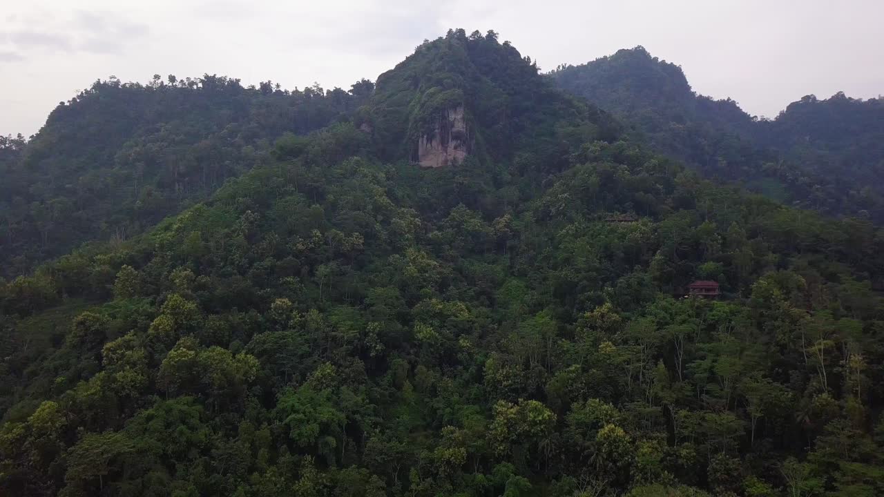 Lenta ripresa aerea di una fitta foresta naturale su una collina durante una giornata di sole