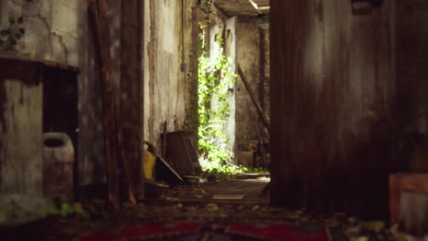 ruined abandoned overgrown by plants interior