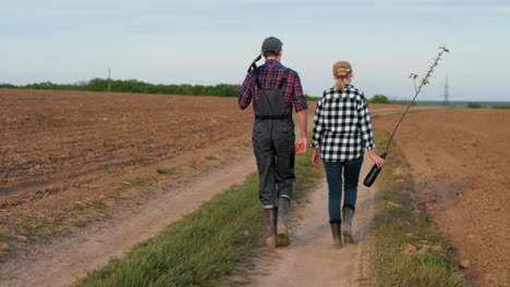 agricultores que plantan árboles