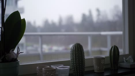 cozy window sill with plants and candles