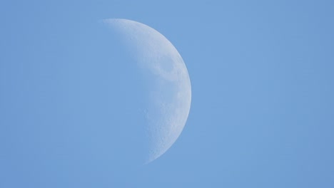 Schöner-Mond-Tagsüber