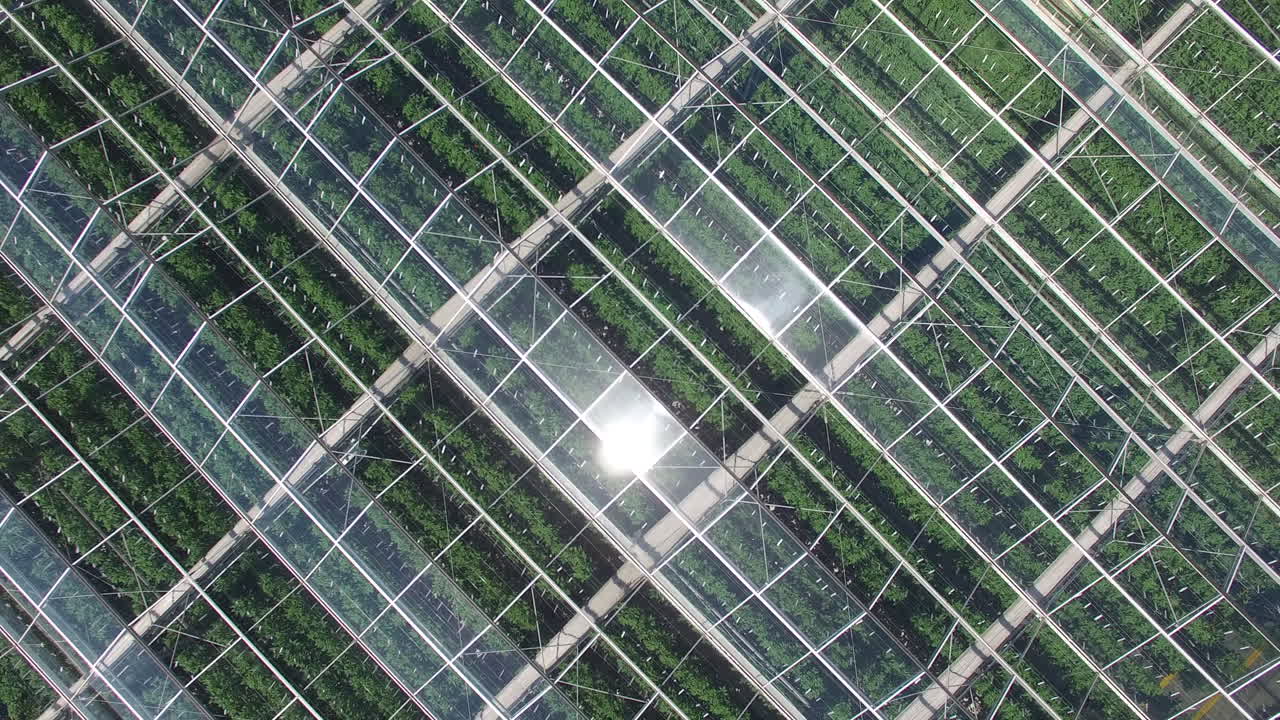 유기농 식물을 위한 온실