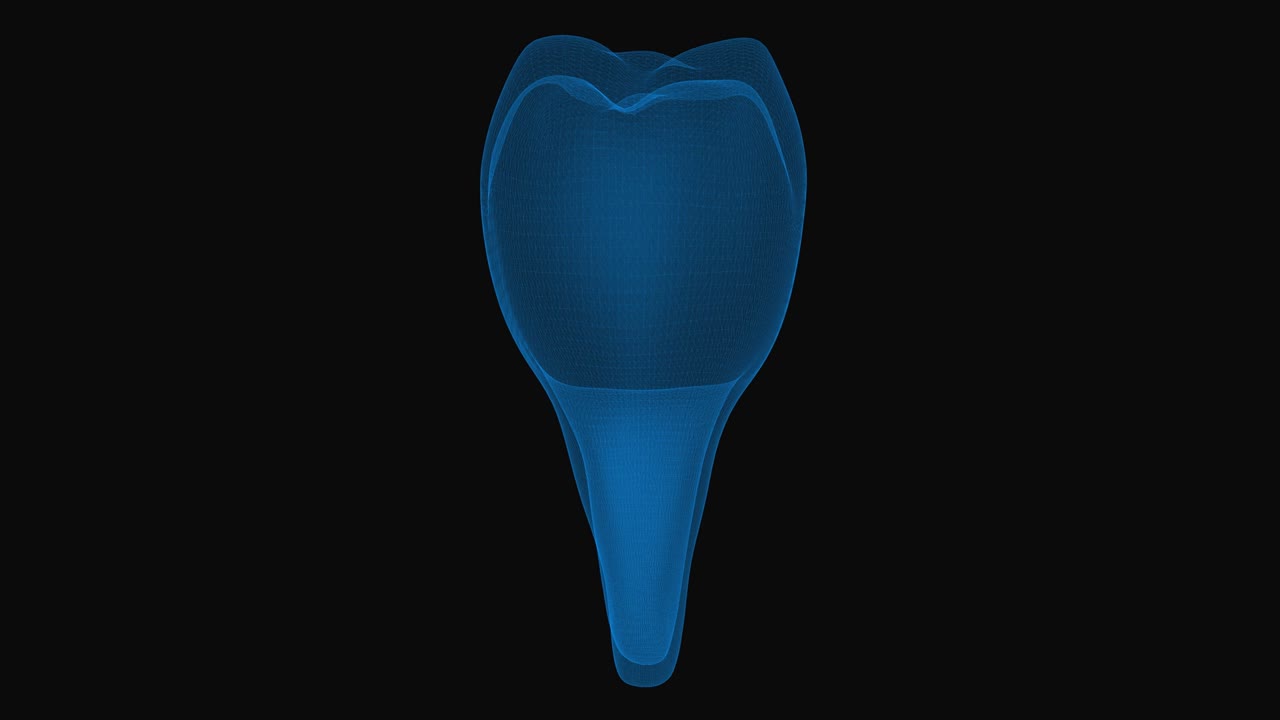 이빨 스레이 개념: 3d 와이어 프레임 이빨: 검은색 배경의 루프 회전
