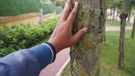 a man's hand touching a tree in a park