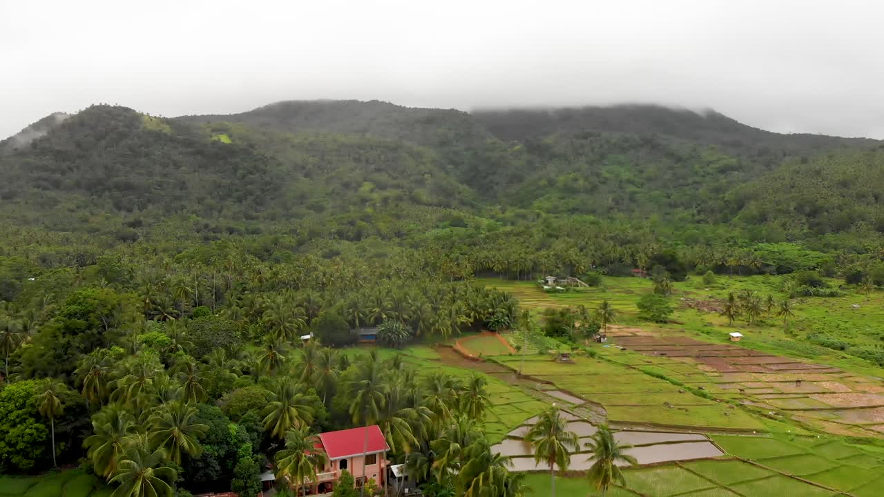 воздушный дрон горный фон над рисовыми полями в азии 4k