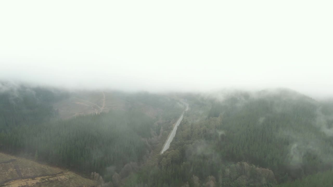 полет вокруг облачного леса в новой зеландии