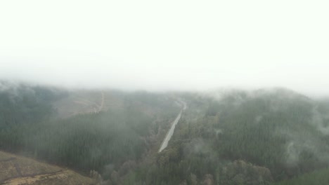 Flying-around-cloudy-forest-in-new-zealand