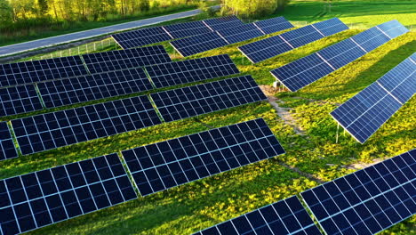 rows of solar panels absorb sunlight in a rural field during evening golden sunlight