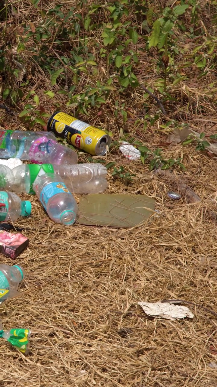 Inquadratura statica dall'alto di bottiglie di plastica e lattine di alluminio scartate su erba secca.