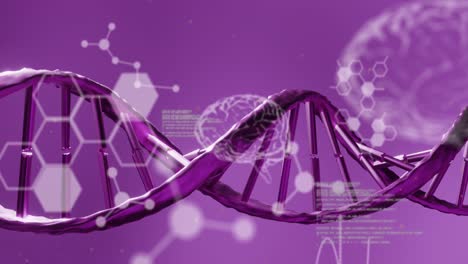 animación de estructuras químicas, cerebros humanos y procesamiento de datos sobre el hilado de cadenas de adn