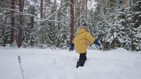 a boy in a yellow jacket walks through deep snow studying the winter forest winter walks and through the snow forest in slow motion. the concept of a free environment for children