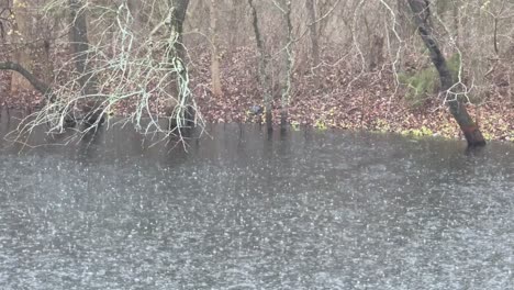 raining heavily on a pond with trees in the background in fall