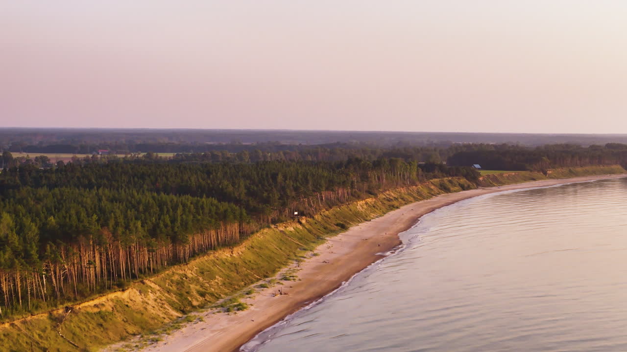 Sweeping drone shot of pine forest and Baltic coastline in Jurkalne, Latvia.
