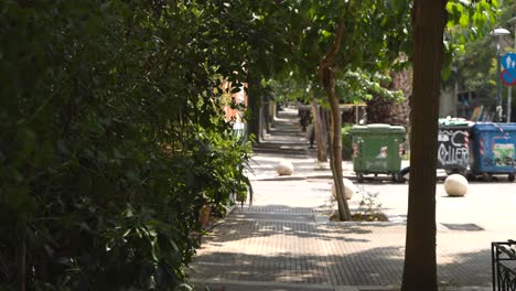 a peaceful, tree-lined street in athens