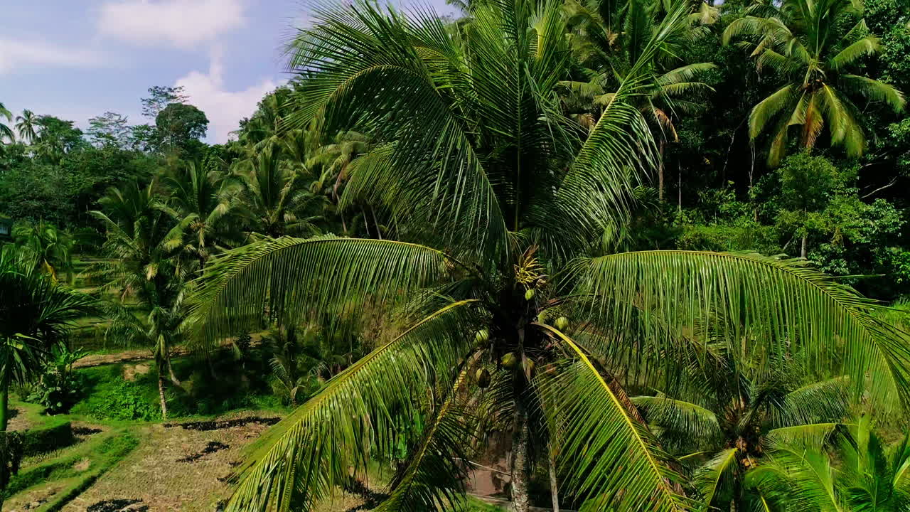 Majestic aerial footage of Mount Batur in Bali during sunrise. Glowing volcanic peaks, morning mist, and golden skies create a stunning scene—ideal for nature, travel, and adventure content