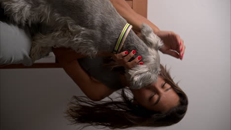 vertical slow motion of a latin brunette model with beautiful eyes playing with her schnauzer dog