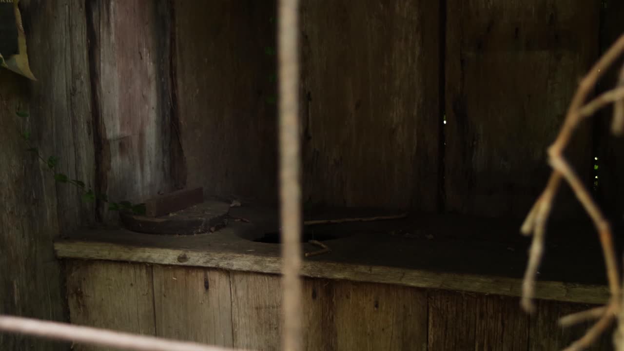 внешний туалет xix века.