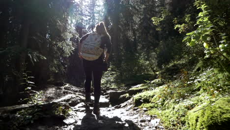 girl hiking in the forest, with morning sunlight gently passing through her