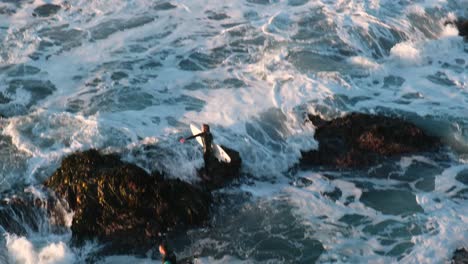 men entering the sea to surf challenging the waves from the rocks on a cliff during a beautiful sunset at punta de lobos beach pichilemu chile colchagua cardenal caro surfing