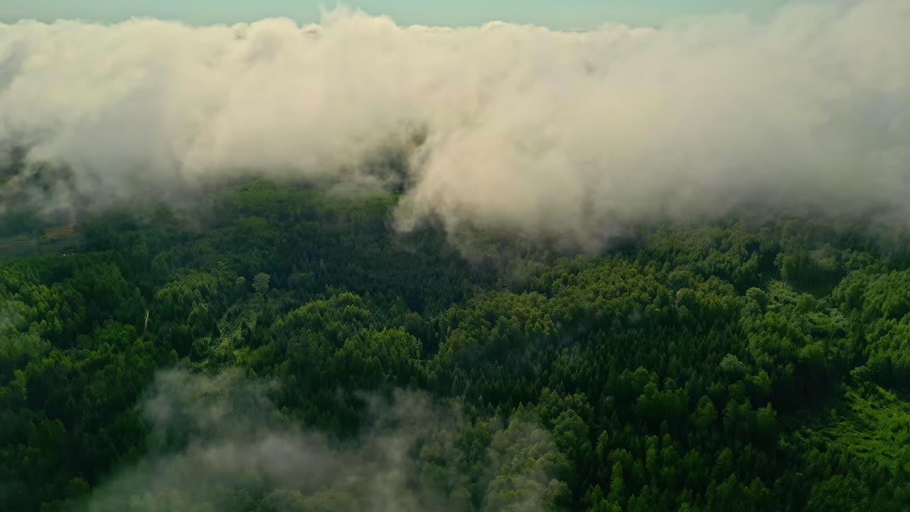 hermoso tiro de nubes en el cielo sobre un bosque exuberante