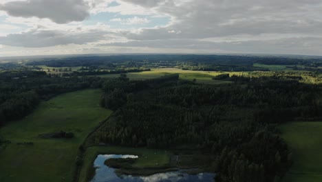 forest from a birds eye view. verdant countryside