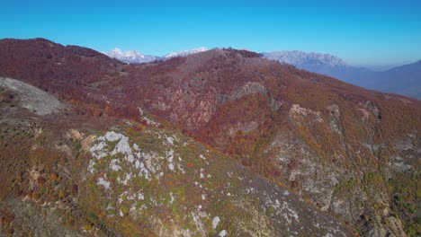 Red-leaves-of-forest-trees-on-high-mountains-with-blue-sky-background-in-Autumn