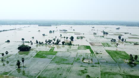 ariel view shot of west bengal flood by river damodar and mundeshwari in rainy season