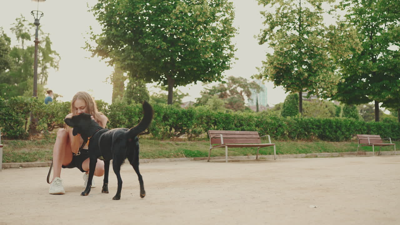 공원에서 개와 놀고 있는 여자