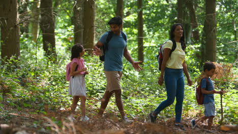 family with backpacks hiking or walking through summer woodland countryside