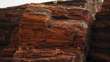 rocky wood log at petrified forest national park in arizona, close up panning shot