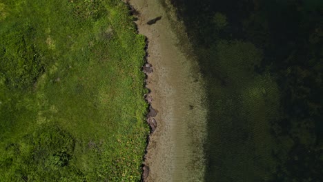 Luftaufnahme-Aus-Der-Vogelperspektive-Entlang-Der-Uferlinie-Am-Silssee-In-Der-Schweiz