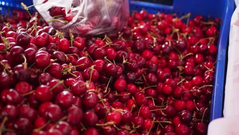 cerezas frescas en un mercado