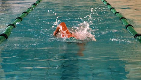 fit swimmer doing the front stroke in the swimming pool