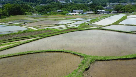 cinematic low angle drone flight over beautiful water filled rice fields