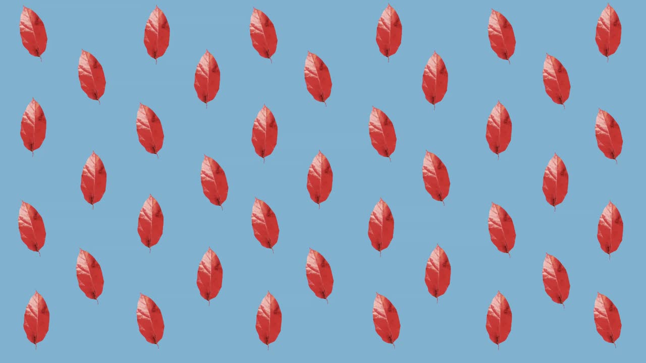 파란색 배경에 가을  ⁇ 은 잎의 줄의 애니메이션