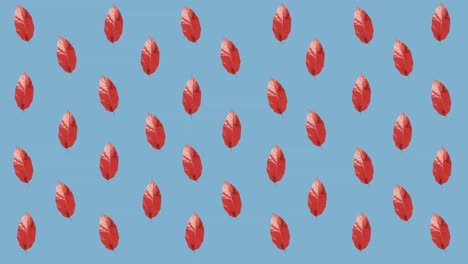 animation of rows of autumn red leaves on blue background